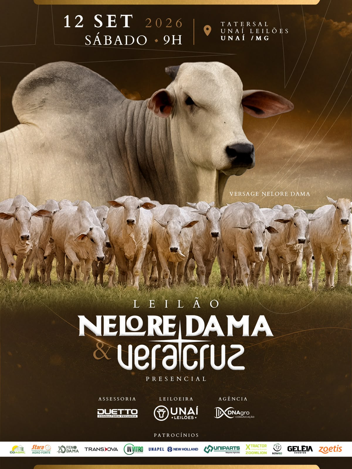 LEIL�O NELORE DAMA E VERA CRUZ
